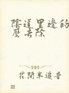 阴道里边的疣怎么去除