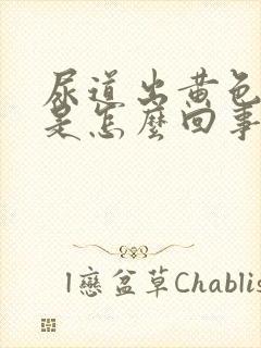 尿道出黄色液体是怎么回事