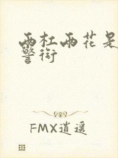 两杠两花是什么警衔