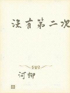 没有第二次的爱