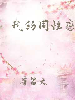 我的同性恋老婆