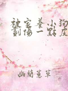 被家养小狗牙齿划伤一点皮出血有事吗