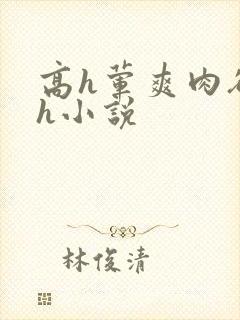 高h荤爽肉欲文h小说