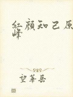 红颜知己原唱王峰