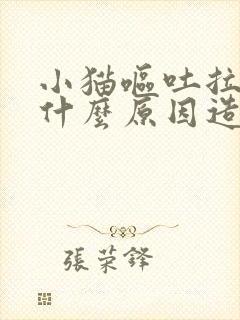 小猫呕吐拉稀是什么原因造成的