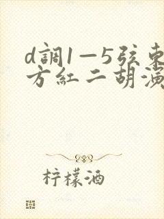 d调1—5弦东方红二胡演奏