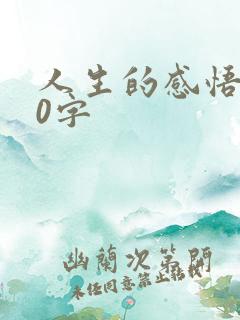 人生的感悟100字