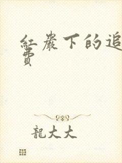 红岩下的追捕免费