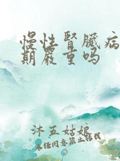 慢性肾脏病了5期严重吗