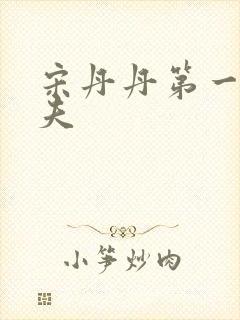 宋丹丹第一任丈夫