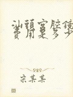 汕头宫腔镜检查费用是多少