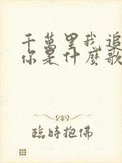 千万里我追寻着你是什么歌词