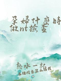 孕妇什么时候要做nt检查