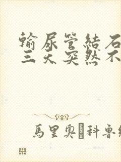 输尿管结石疼了三天突然不疼了