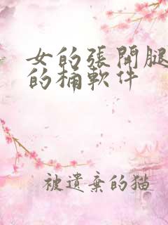 女的张开腿让男的桶软件