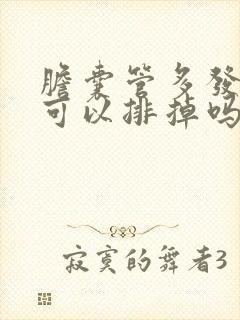 胆囊管多发结石可以排掉吗