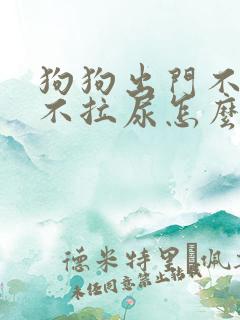 狗狗出门不拉屎不拉尿怎么办