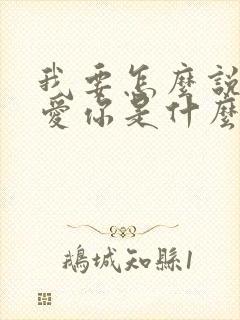 我要怎么说才能爱你是什么歌