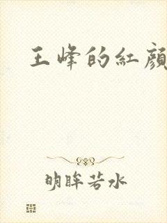王峰的红颜知己