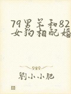 79男羊和82女狗相配婚姻如何