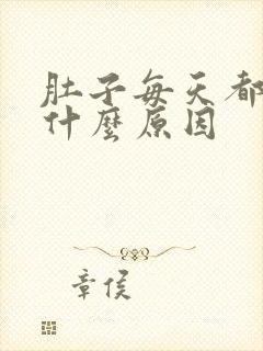 肚子每天都疼是什么原因