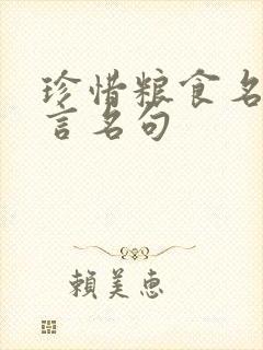 珍惜粮食名人名言名句