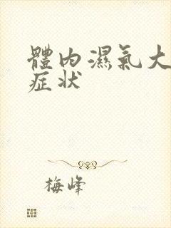 体内湿气大排便症状