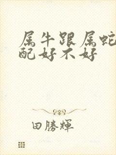 属牛跟属蛇的婚配好不好