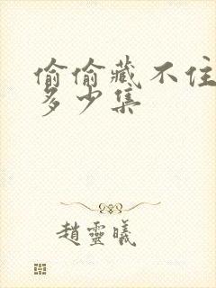 偷偷藏不住一共多少集