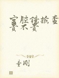 宫腔镜检查费用贵不贵