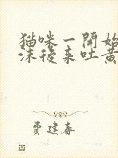 猫咪一开始吐白沫后来吐黄水咋回事