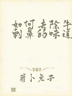 如何去除牛仔裤刺鼻的味道