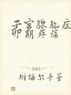 子宫腺肌症 排卵期疼痛