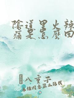 阴道里火辣辣的痛是怎么回事