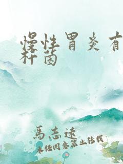 慢性胃炎有幽门杆菌