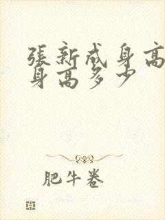 张新成身高真实身高多少