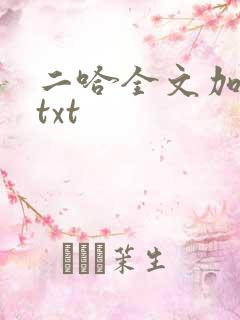 二哈全文加番外txt
