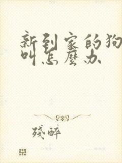 新到家的狗一直叫怎么办