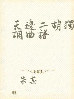 天边二胡独奏g调曲谱