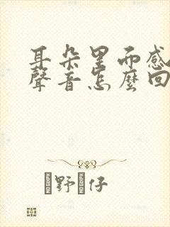 耳朵里面感觉有声音怎么回事