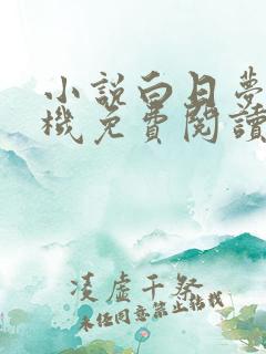 小说白日梦我手机免费阅读全文