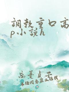 调教重口高辣np小说h