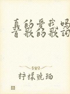 真的爱我吗是哪首歌的歌词