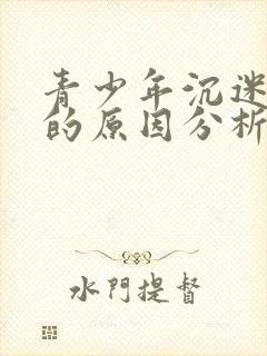 青少年沉迷网络的原因分析