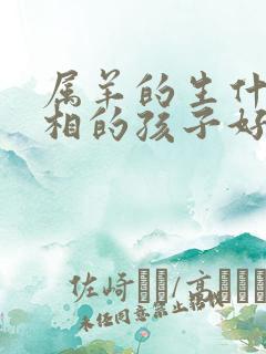 属羊的生什么属相的孩子好