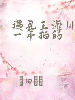 遇见王沥川是哪一年拍的