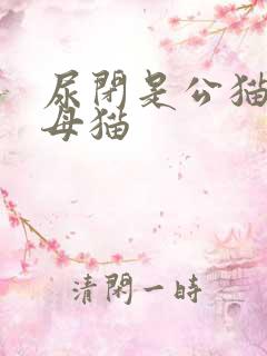 尿闭是公猫还是母猫