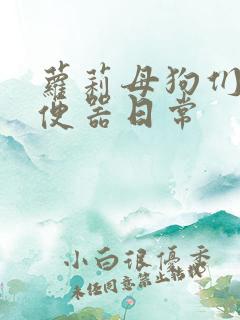 萝莉母狗们的肉便器日常