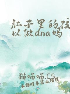 肚子里的孩子可以做dna吗