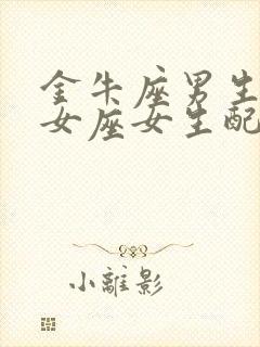 金牛座男生和处女座女生配对指数